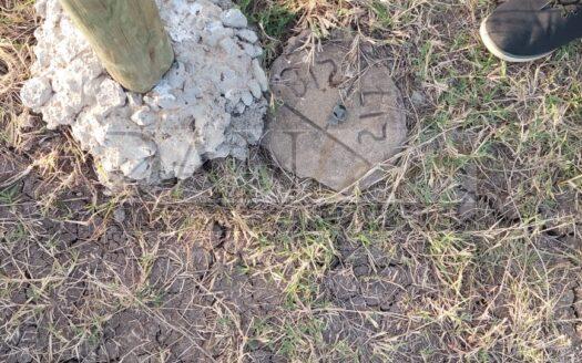 Eastern Bypass – Vicken 30